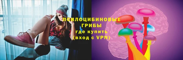 крисы Абаза