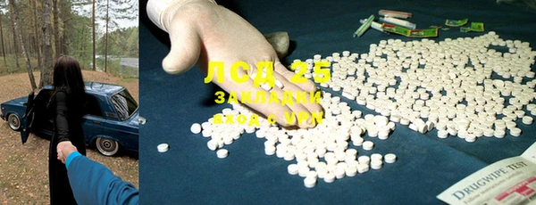 крисы Абаза