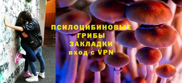 дурь Алексин