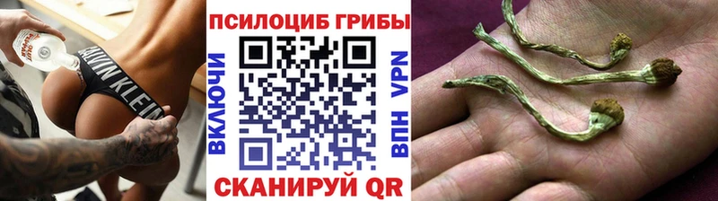 OMG ONION  Приволжск  Псилоцибиновые грибы прущие грибы  даркнет сайт 